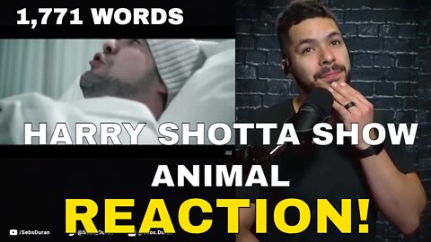 HARRY SHOTTA SHOW Animal (Reaction!) | First UK Rapper I've listened to