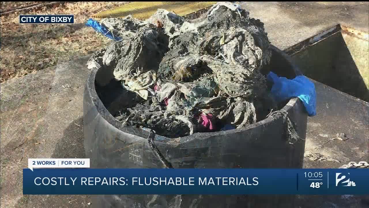 Costly Repairs: Think Before You Flush