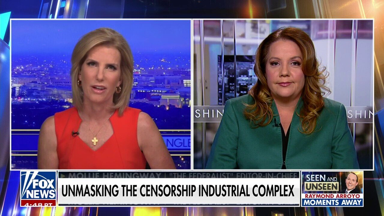 Mollie Hemingway: Companies, Organizations & Gov. Agencies 'Working Together' To Censor Information