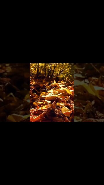 🌏🛡⚔🏕 E se tudo fosse apenas um sonho???