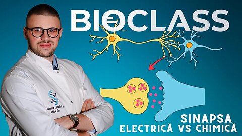 Sinapsa Chimică vs Electrică