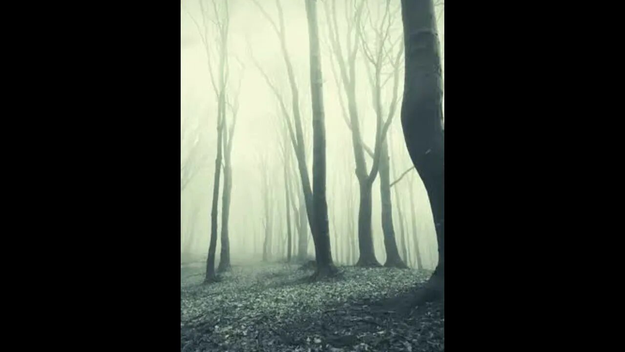 The Scary forest of Death place of devil soul