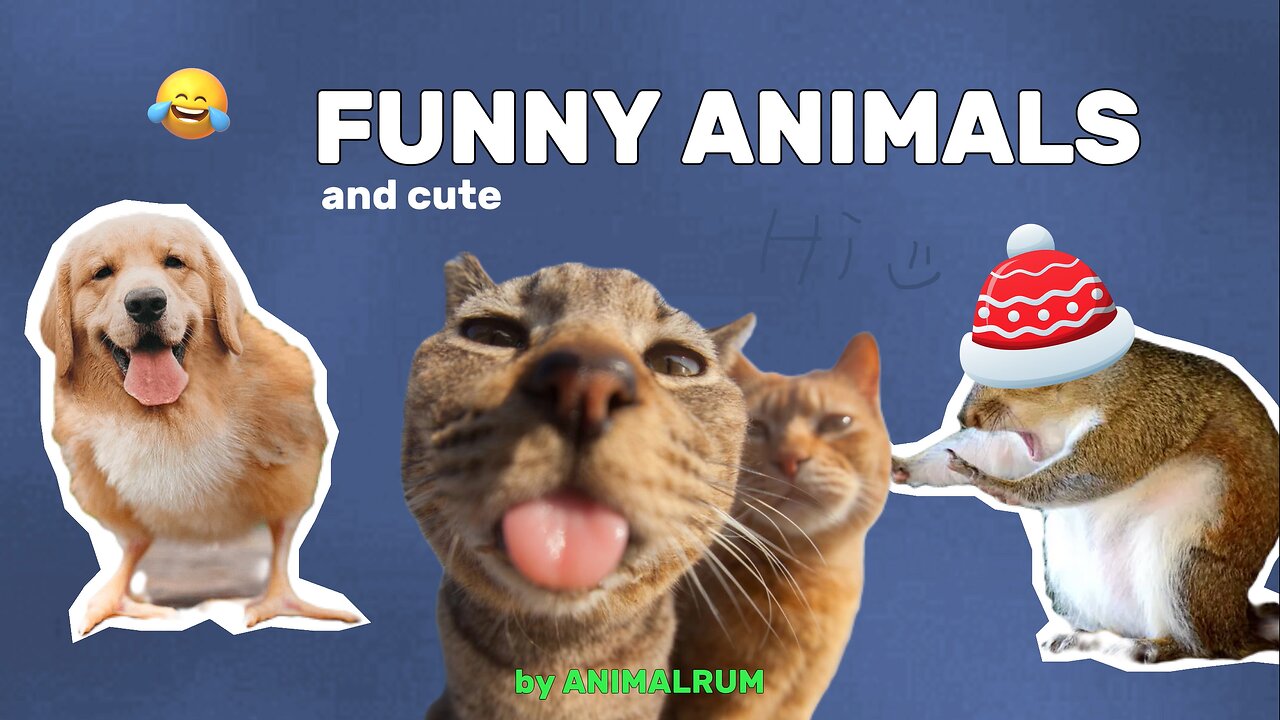 Funny and Cute Animals Compilation | Part 3