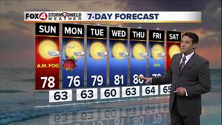 7 Day Forecast