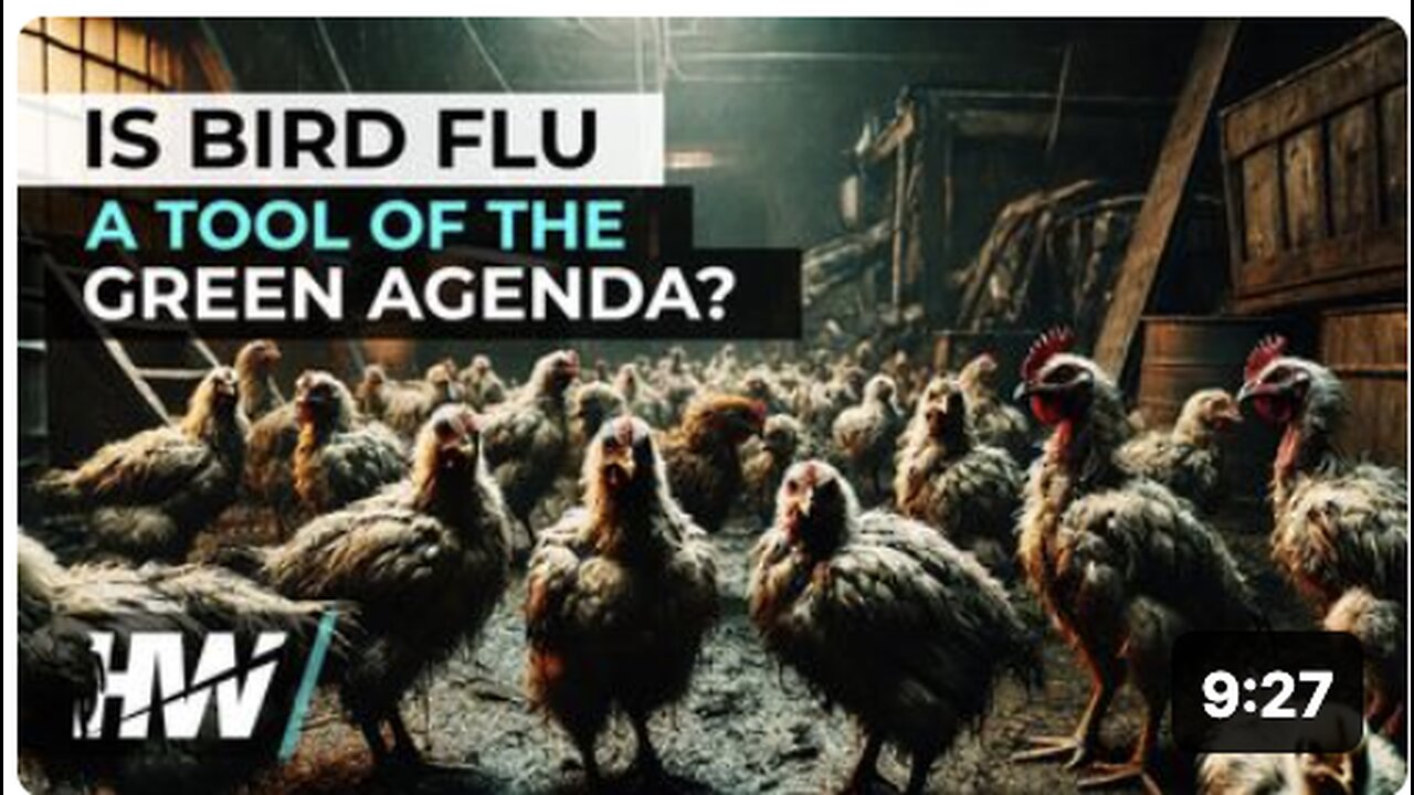 IS BIRD FLU A TOOL OF THE GREEN AGENDA?
