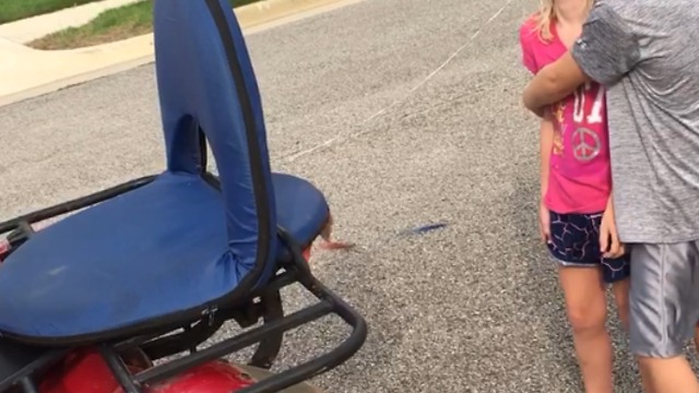 Tooth Pulled From A Four Wheeler