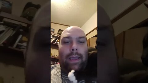 Happy new years #shortsfeed #shorts #shortsvideo #youtubeshorts #catvideos #cat