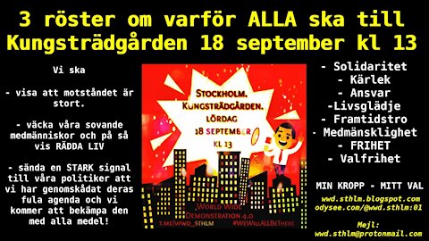 3 röster om varför alla behöver vara i Kungsträdgården 18 september