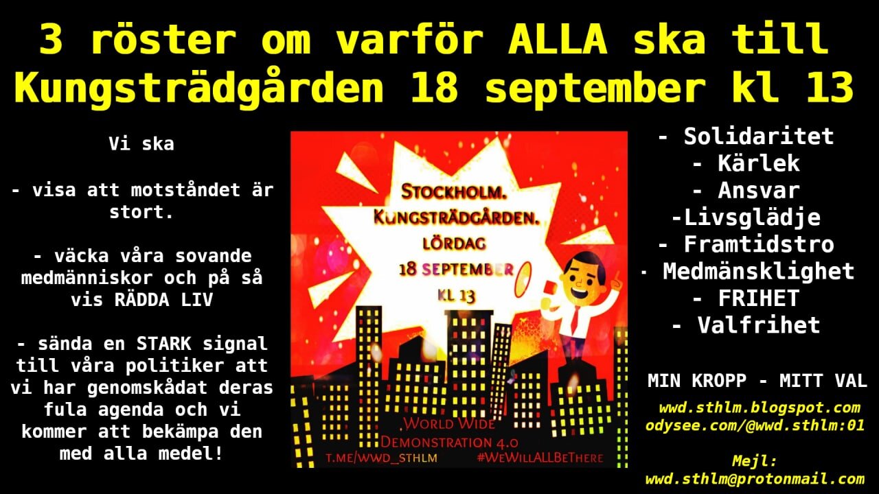 3 röster om varför alla behöver vara i Kungsträdgården 18 september