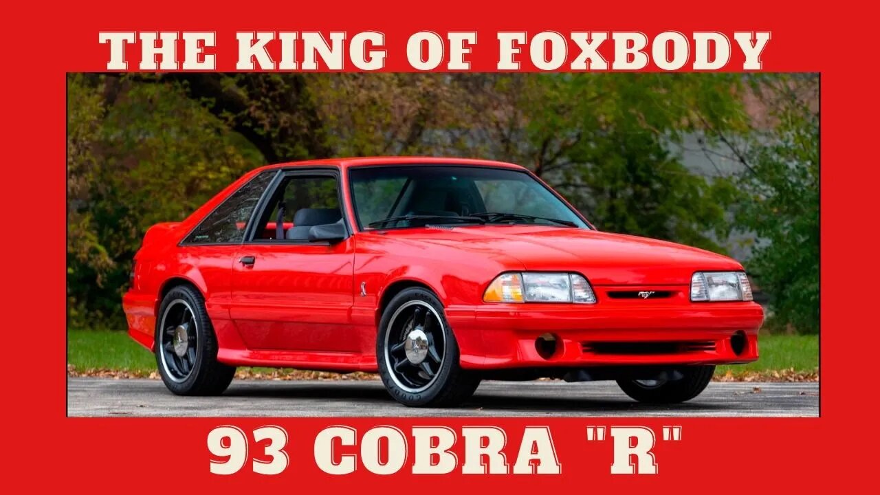 The KING of Foxbody Mustangs