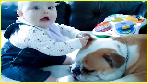 Most Cute Dogs and Babies are Best Friends in the world