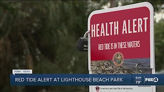 Red tide present on Sanibel