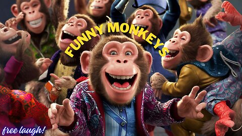 funny monkeys