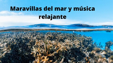 Maravillas del mar y música relajante