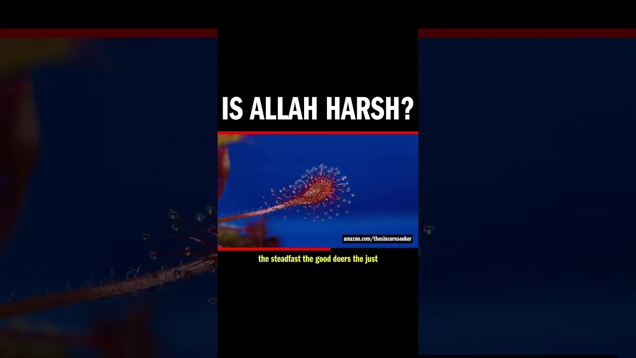 Is Allah Harsh?