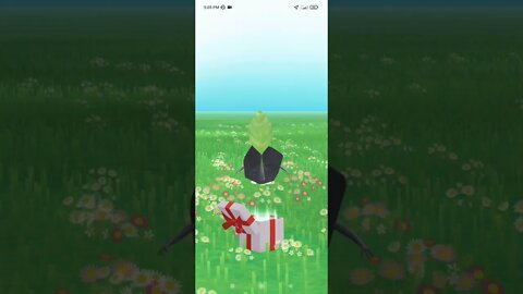 Pikmin Bloom-Rock Pikmin With Sticker