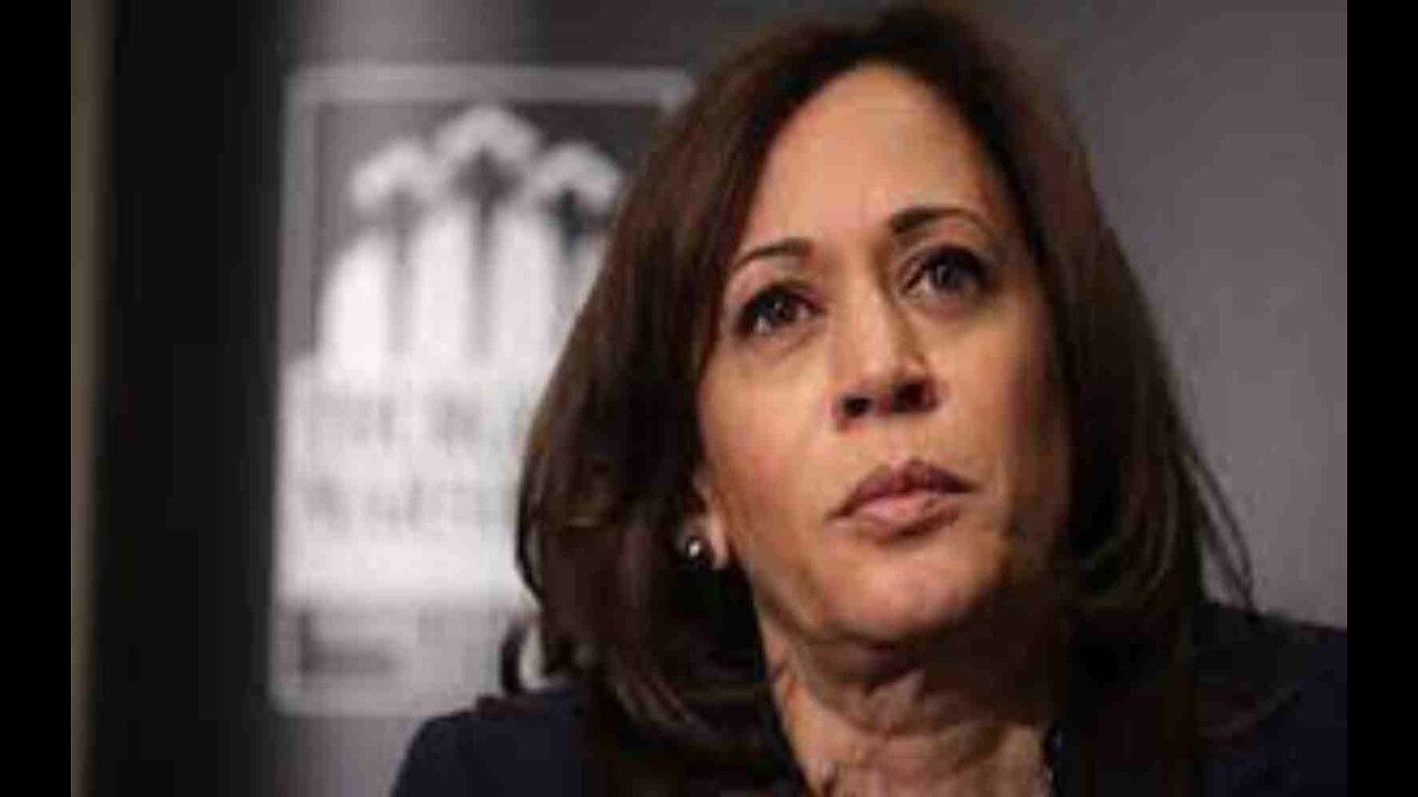 Kamala Harris Puzzled By Questions About Biden Picking Her as VP in Part Because of Her Race