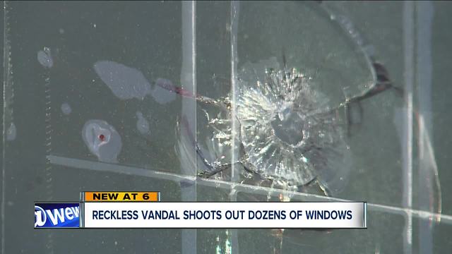 Bainbridge residents on edge after nearly 20 homes have windows shot by pellets