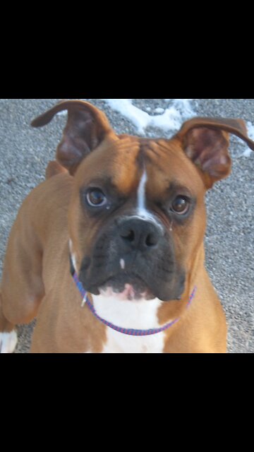 First Rumble And Why I Won't Be Posting New Videos For A Bit