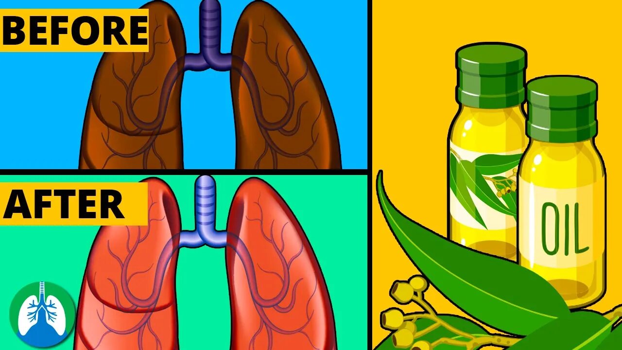 How to Cleanse Your Lungs with Eucalyptus Oil | Respiratory Therapy Zone