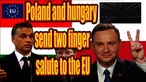 Poland and Hungary join forces against the EU,and Verhofftwat goes mental