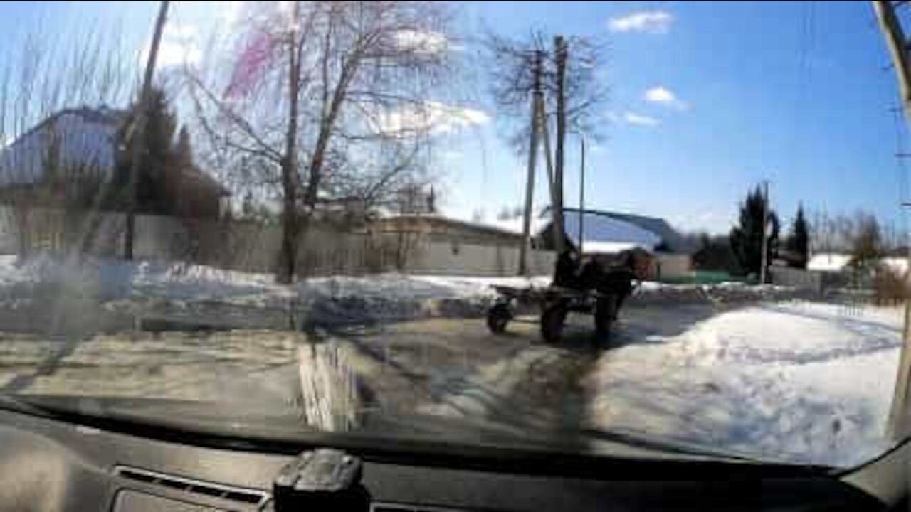 Una corsa in carrozza finita a faccia in giù nella neve