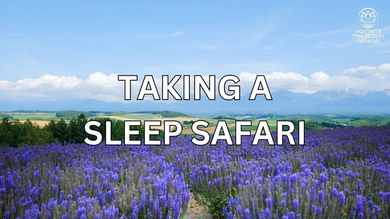 Taking A Sleep Safari // Sleep Meditation for Women