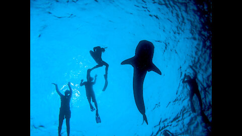 SunSet Fishshing in Maldives