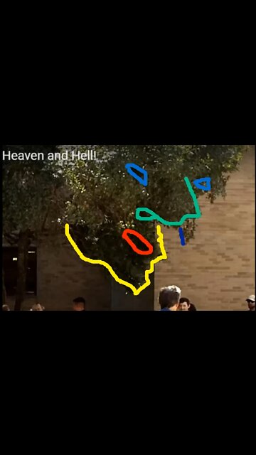 Jesus's Crying Face in Tree Give Me an Answer - There Will Be an Eternal Separation Heaven and Hell