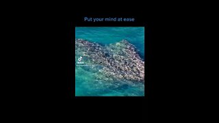 Put Your Mind At Ease