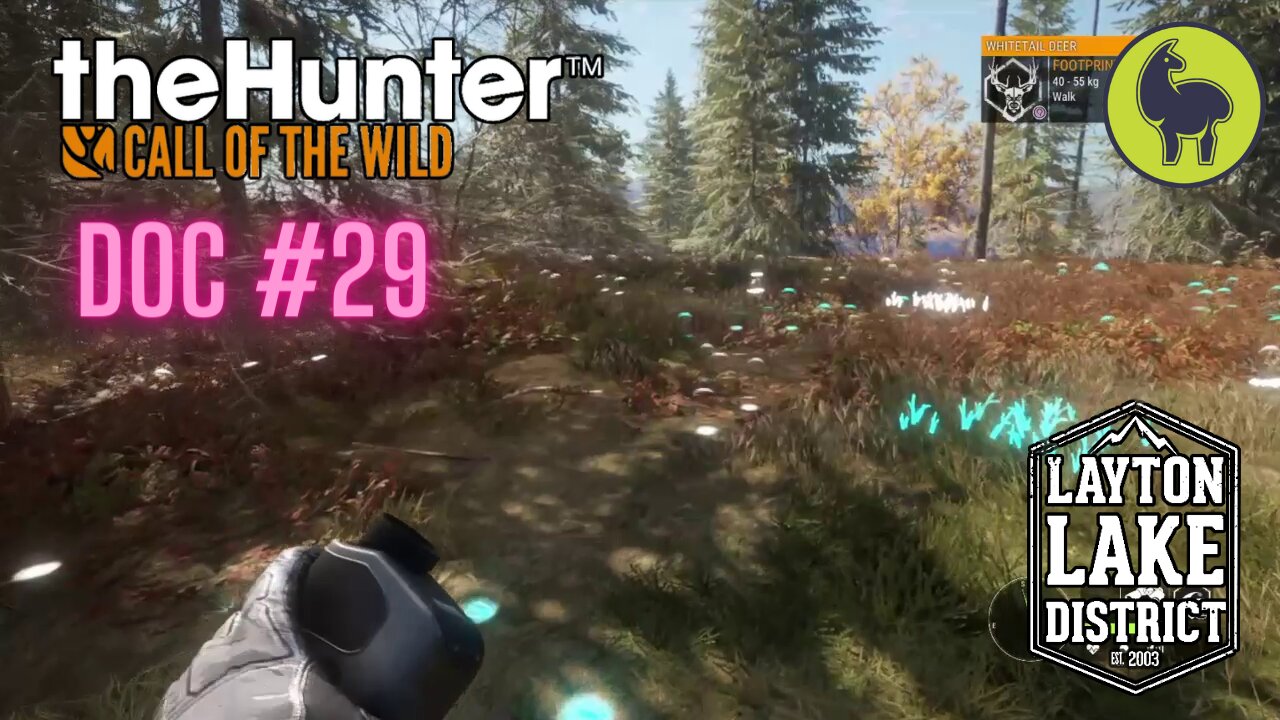 The Hunter: Call of the Wild, Doc #29 Layton Lakes