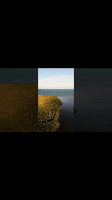🏝️Cruising Key Largo with Jimmy Buffett 🌴 #thefloridakeys #jimmybuffett #margaritaville #parrot