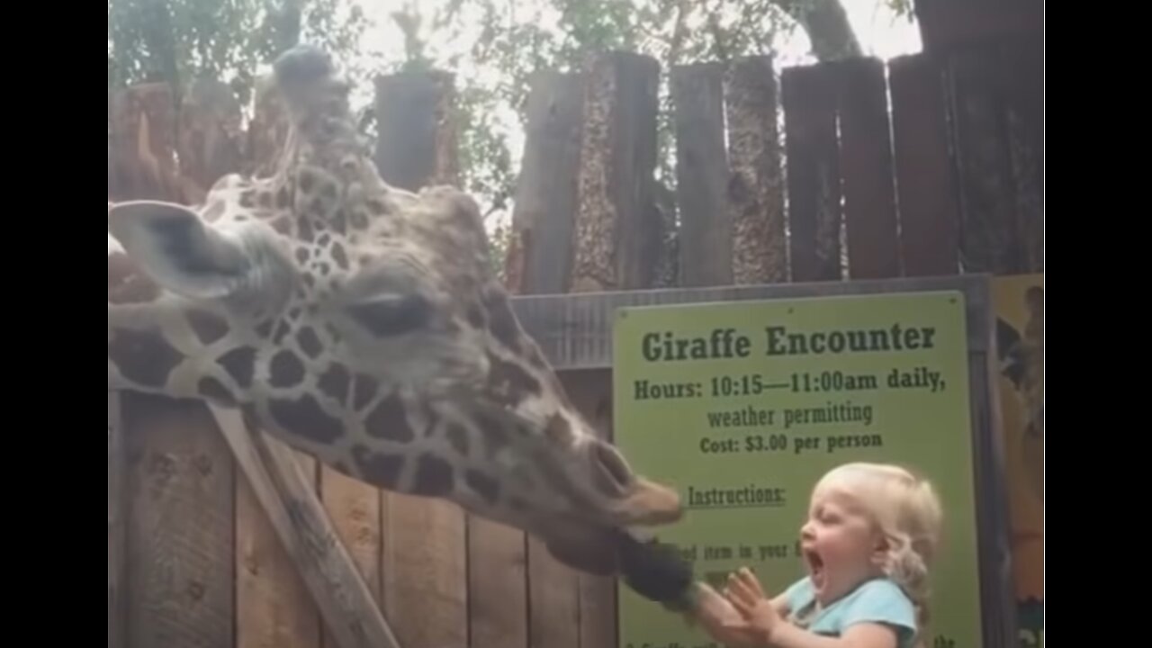 FORGET CATS! Funny KIDS vs ZOO ANIMALS are WAY FUNNIER! - TRY NOT TO LAUGH