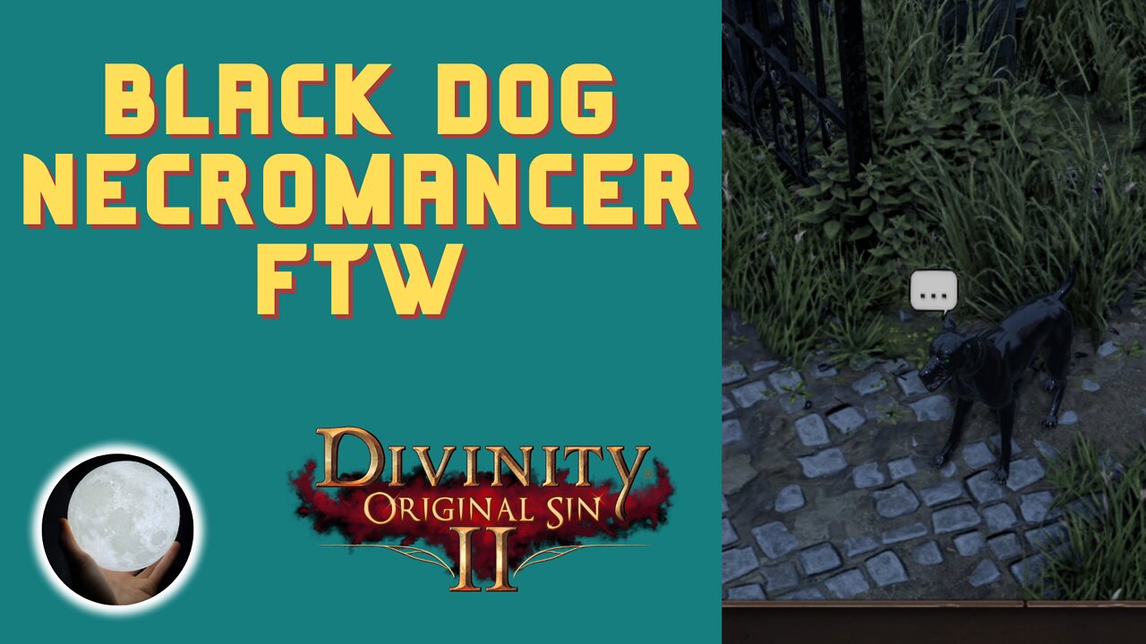 Black Dog of Death - A Patient Gamer Plays...Divinity Original Sin II: Part 37