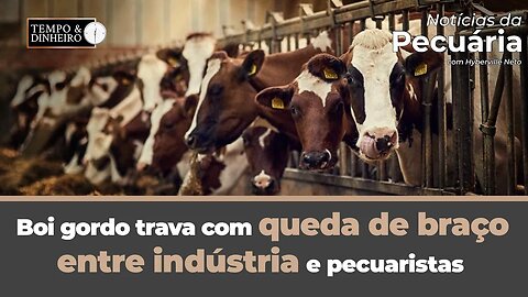 Boi gordo trava com queda de braço entre indústria e pecuaristas
