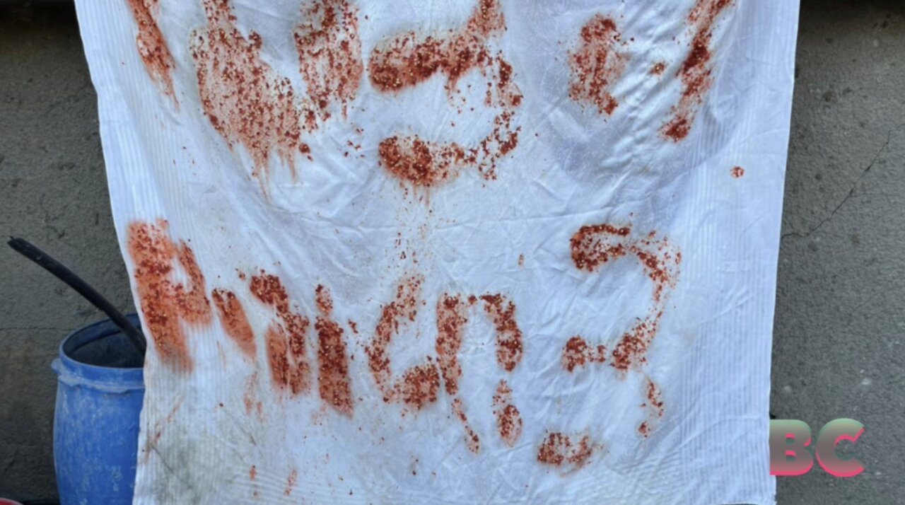 Israeli hostages used food to write signs pleading for help before mistakingly shot dead
