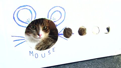 Am I a Cat or a Mouse?