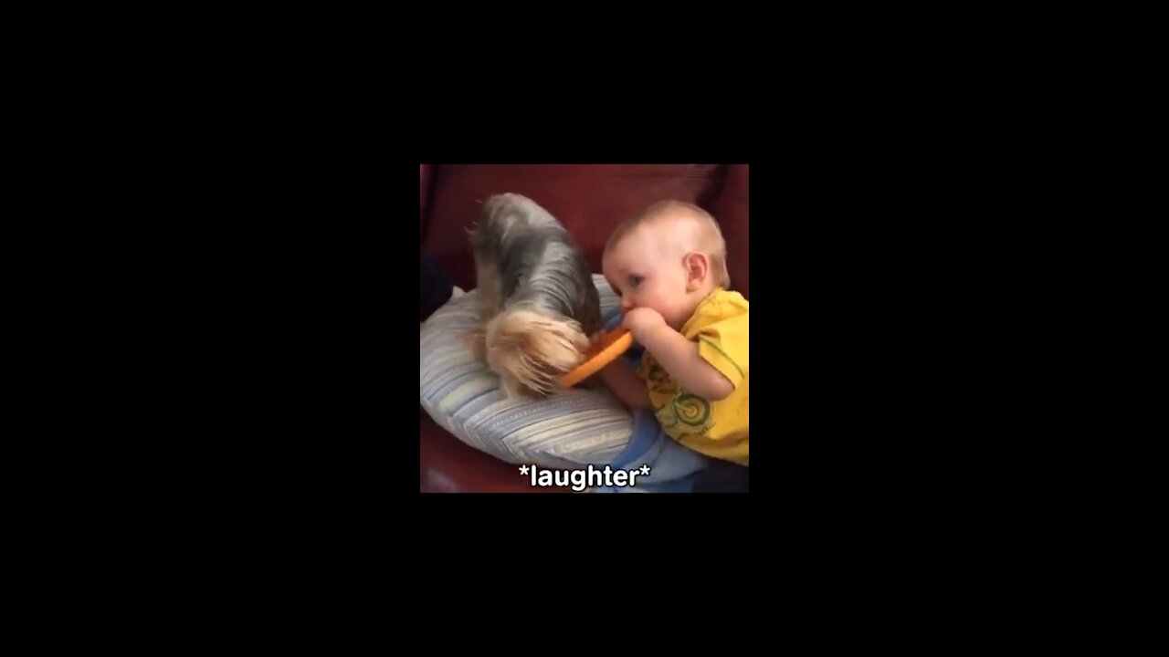 Funny Babies Falling Videos Cute Dog & Baby Compilation Viral Videos. ... Funny