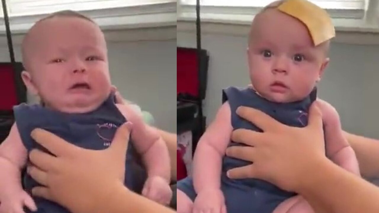 Baby stops crying after cheese landing on its forehead