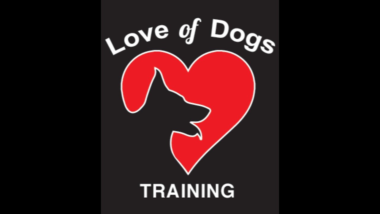 #dogtraining#dog trainer