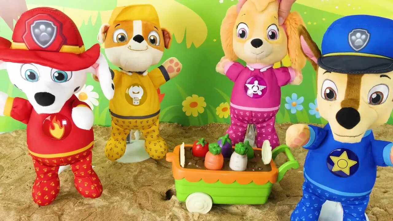 155 5Video de aprendizaje para niños - ¡Picnic de la Paw Patrol!