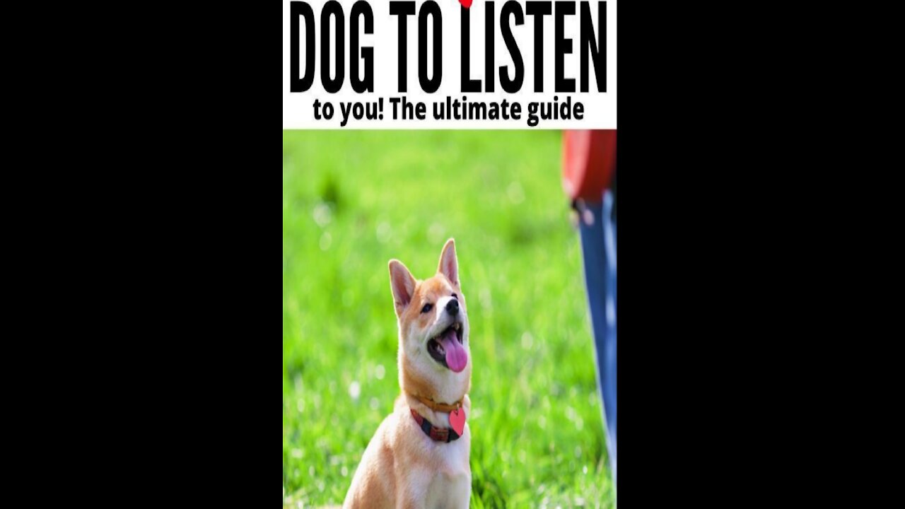 #DogTraining #DogTraining #Top10EssentialCommands 🐕 Basic Dog Training –