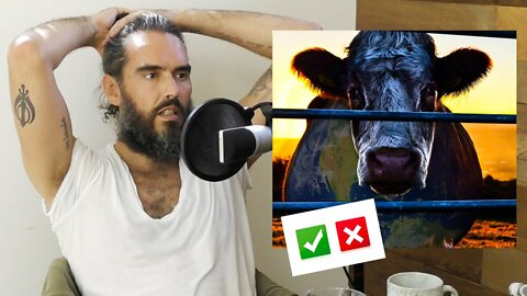 Was I Right To Go Vegan?! | Russell Brand