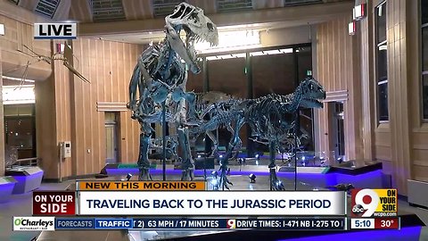 Natural history museum: Union Terminal reopens Saturday
