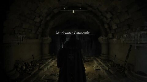 NDev's Alpha explores Murkwater Catacombs