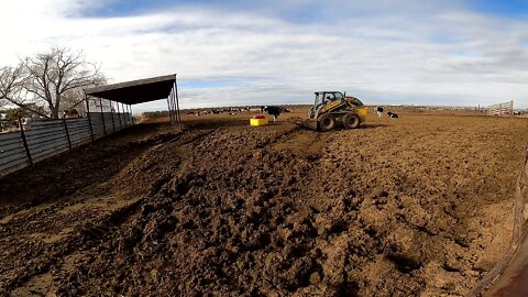 Cleaning up With the Skid Loader and Loader