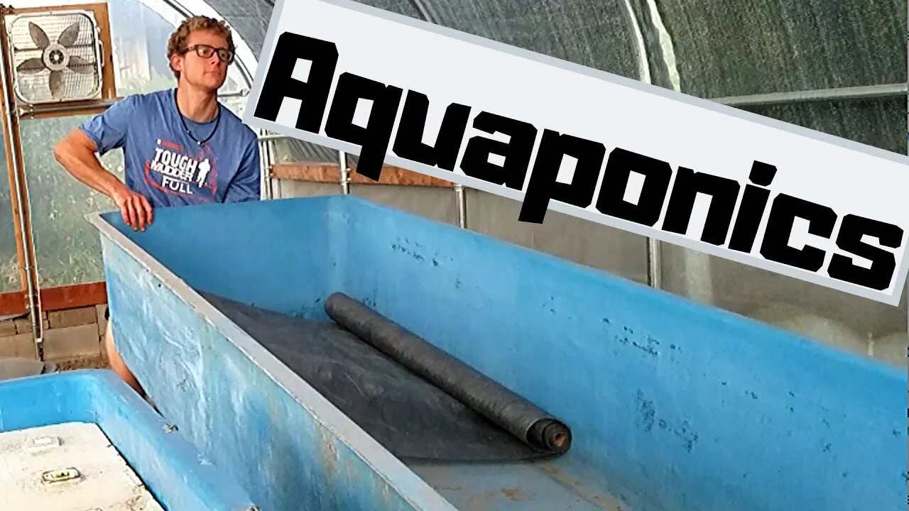 Aquaponic system Renovation part 2 - (hybrid aquaponic system)