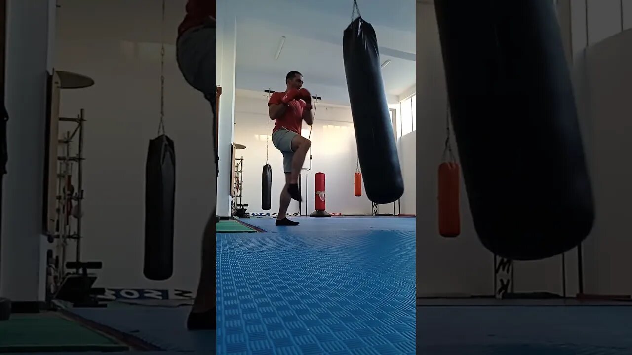 Kick And Punch the Bag (31)