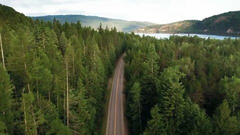 A Road In The Middle Of A Forest