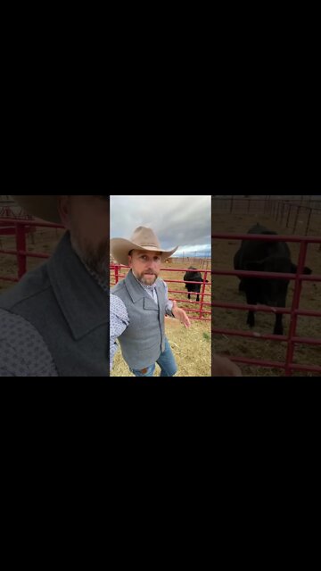 How Ranchers Make Money with Hunting